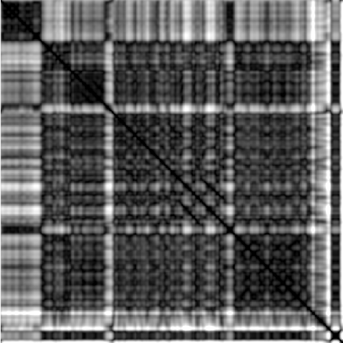 feature MFCCPHASE representation