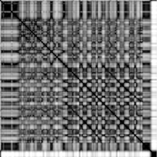 feature MFCCLOW representation