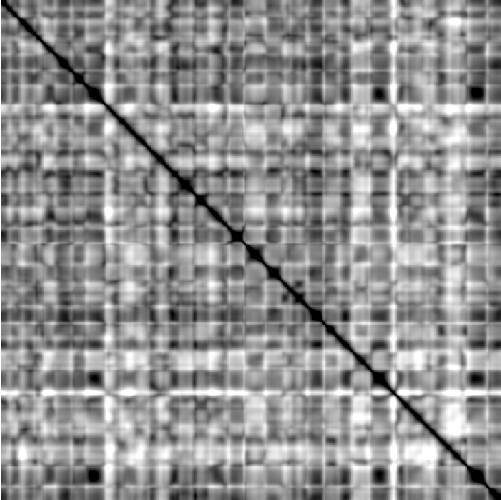 feature TEMPO representation